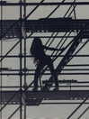 charli_xcx Altpins Profile Picture