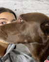 charlidamelio Altpins Profile Picture