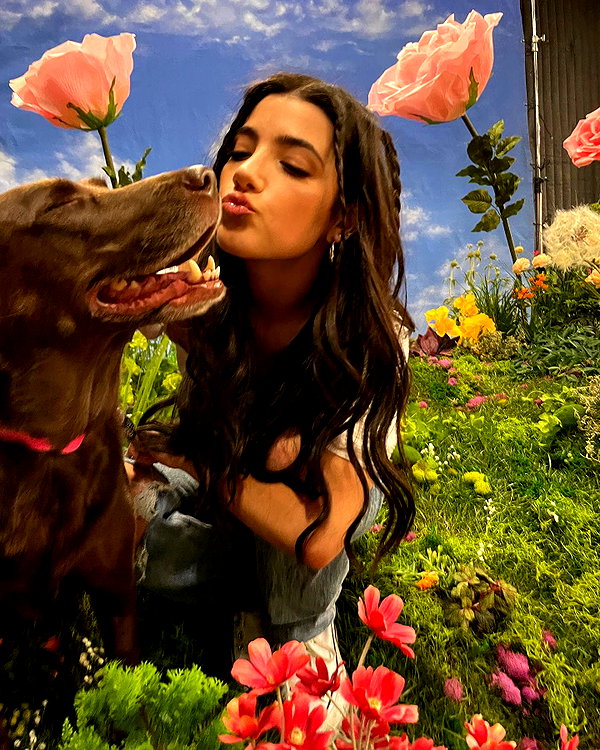 charlidamelio instagram image archive image