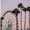 charlidamelio Altpins Profile Picture