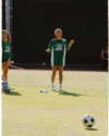 charlidamelio Altpins Profile Picture