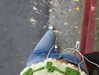 charlidamelio Altpins Profile Picture