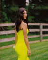 charlidamelio Altpins Profile Picture