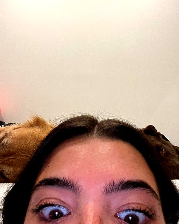 charlidamelio instagram image archive image