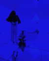 charlidamelio Altpins Profile Picture