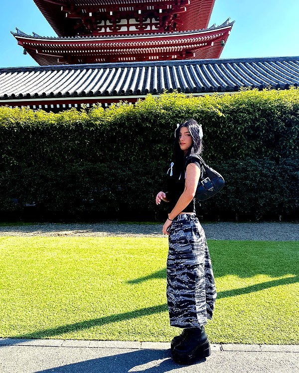 charlidamelio instagram image archive image
