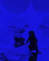 charlidamelio Altpins Profile Picture