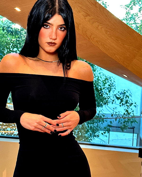 charlidamelio instagram image archive image