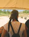charlidamelio Altpins Profile Picture
