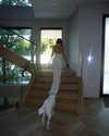 charlidamelio Altpins Profile Picture