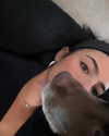 charlidamelio Altpins Profile Picture
