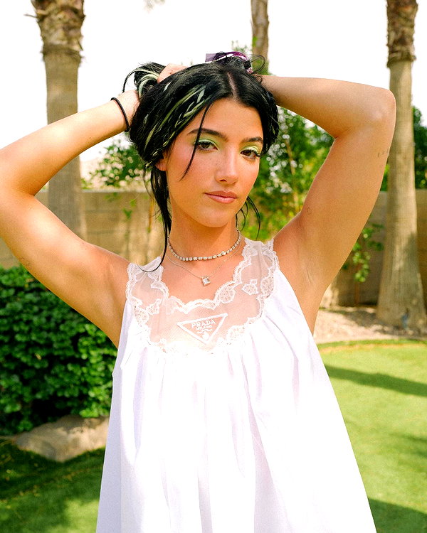 charlidamelio instagram image archive image