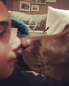 charlidamelio Altpins Profile Picture
