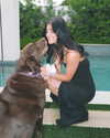 charlidamelio Altpins Profile Picture