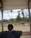 charlidamelio Altpins Profile Picture