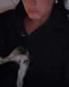 charlidamelio Altpins Profile Picture