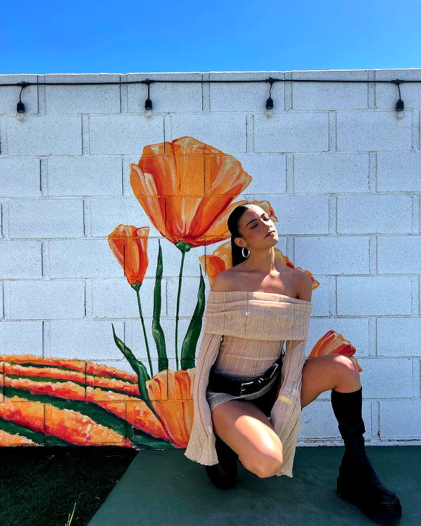 charlidamelio instagram image archive image