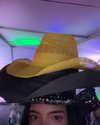charlidamelio Altpins Profile Picture