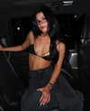 charlidamelio Altpins Profile Picture