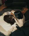 charlidamelio Altpins Profile Picture