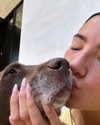 charlidamelio Altpins Profile Picture