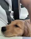 charlidamelio Altpins Profile Picture