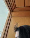 charlidamelio Altpins Profile Picture