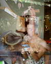 charlidamelio Altpins Profile Picture