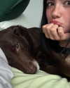 charlidamelio Altpins Profile Picture