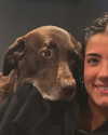 charlidamelio Altpins Profile Picture