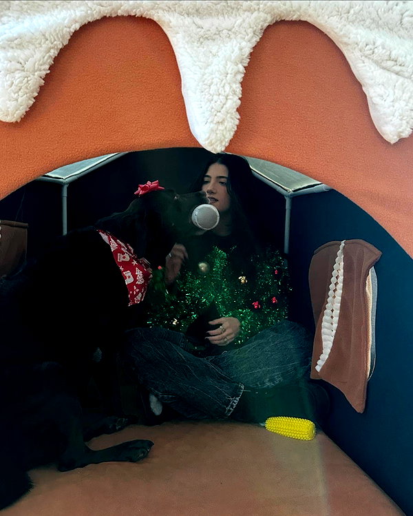charlidamelio instagram image archive image