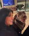 charlidamelio Altpins Profile Picture