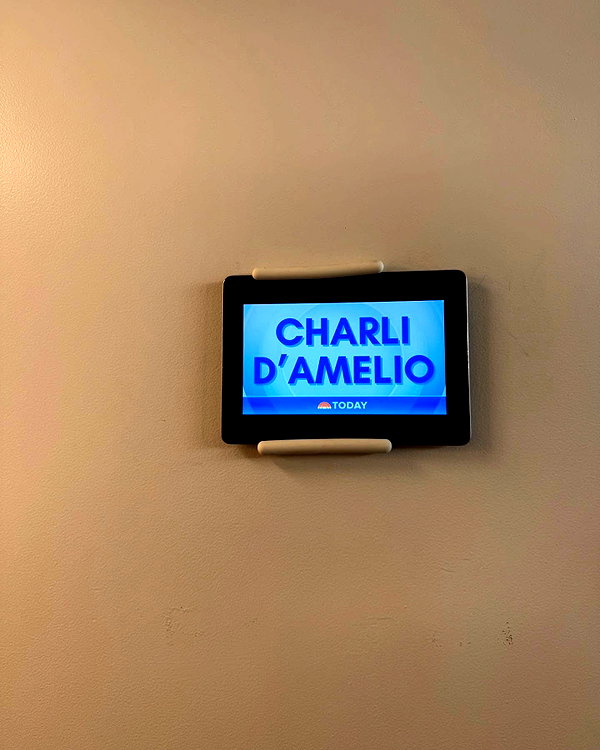 charlidamelio instagram image archive image