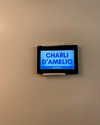 charlidamelio Altpins Profile Picture