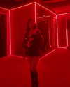 charlidamelio Altpins Profile Picture