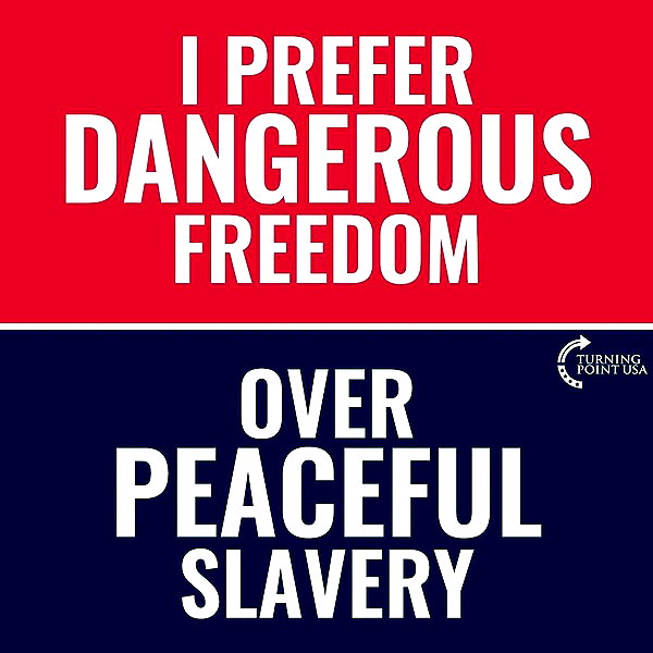 charliekirk1776 instagram image archive image