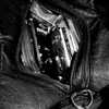 chateaubunni Altpins Profile Picture
