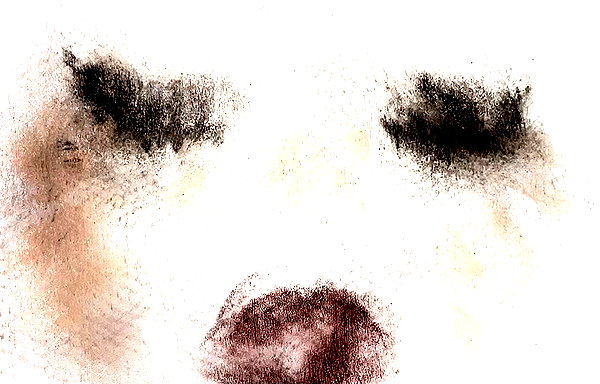 chateaubunni instagram image archive image