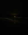 chateaubunni Altpins Profile Picture
