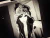 chateaubunni Altpins Profile Picture