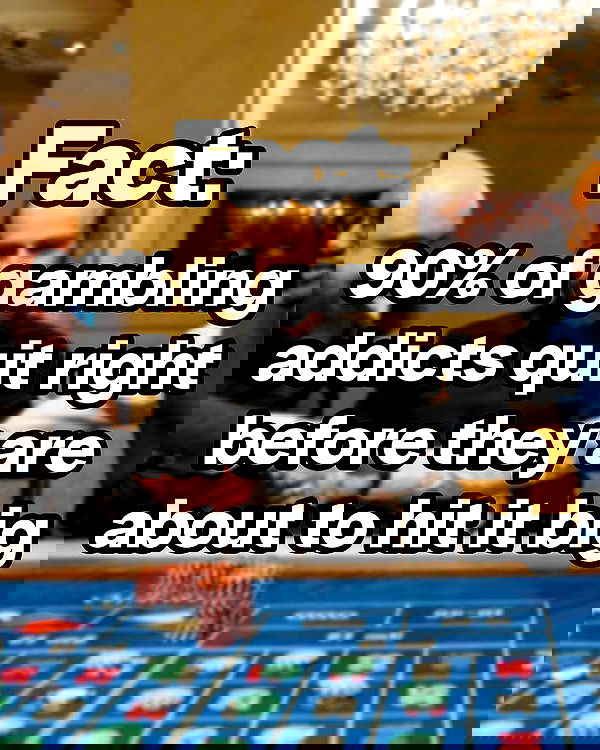 chibinekopurr chibinekopurr archive image