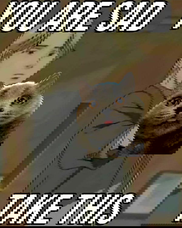 chibinekopurr chibinekopurr archive image