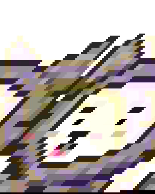 chibinekopurr chibinekopurr archive image