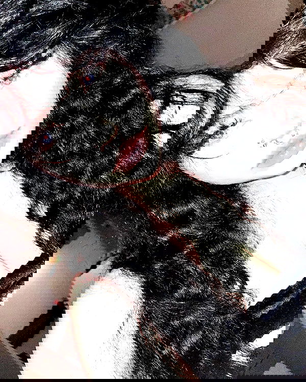 chibinekopurr chibinekopurr archive image