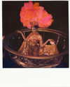 chicasdivertidastequila Altpins Profile Picture