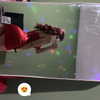 chiiaaaaaara.v Altpins Profile Picture