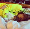 chloetamiii Altpins Profile Picture