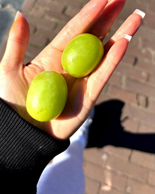 chloetamiii instagram image archive image