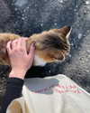 christinacharm Altpins Profile Picture