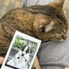 christinacharm Altpins Profile Picture